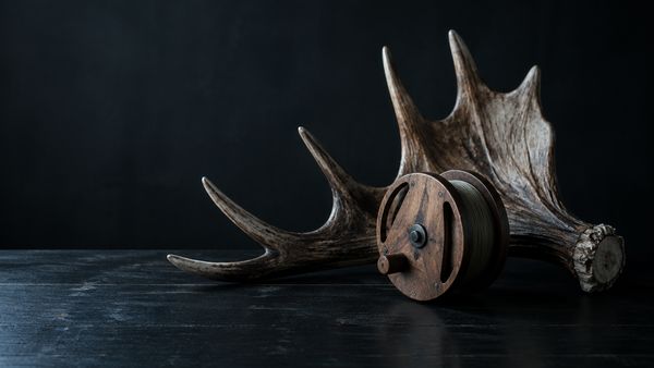 Hirvensarvi ja pohjoismainen puinen slottirulla tummalla pöydällä, ruotsalaisen studion tunnelma, viileä valo. ELK, Quickspin, Thunderkick