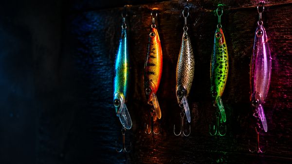 Rivi viittä erilaista kalastusviehettä roikkuu tummalla puulaudalla, jokainen eri värisessä valossa, vesipisaroita. Big Bass -sarja