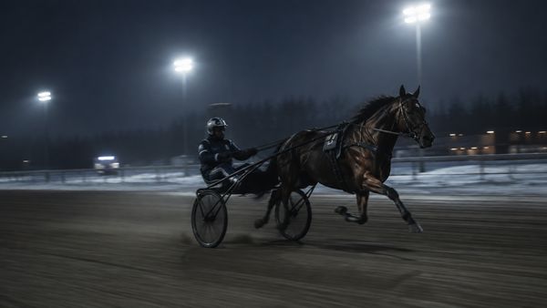 Ravihevonen kärryineen valaistulla hiekkaradalla yöllä, liike-epäterävyyttä, kylmä pohjoinen ilta, ravit